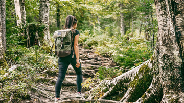 Eine junge Frau beim Wandern im Wald. Sie geht über einen einsamen, stark verwurzelten Weg leicht bergauf. 