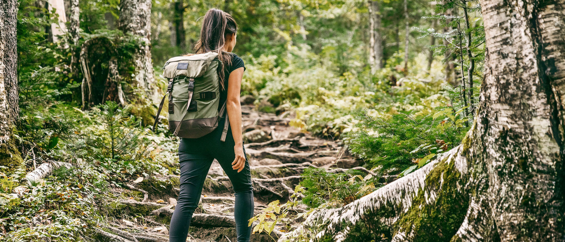 Eine junge Frau beim Wandern im Wald. Sie geht über einen einsamen, stark verwurzelten Weg leicht bergauf. 