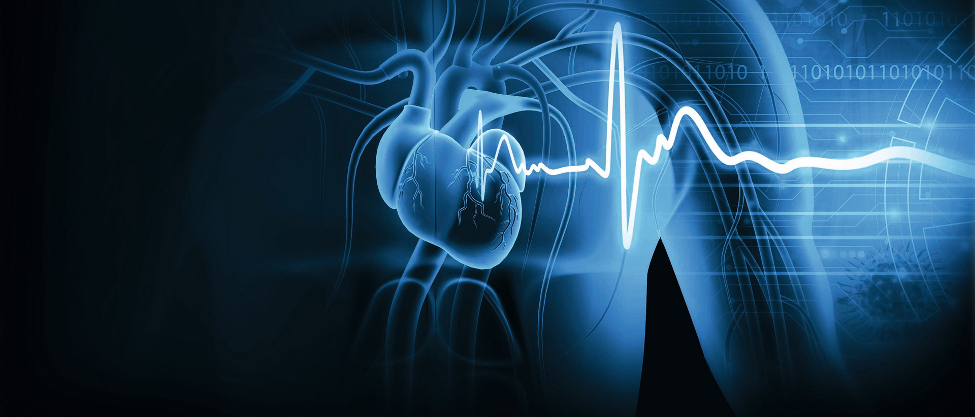 Zu sehen ist ein grafisch dargestellter Oberkörper, die inneren Organe erscheinen nur angedeutet. Eine Art Herzschlagkurve zieht sich in das Bild. 