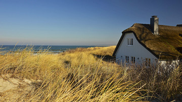 Gemütliches Haus am Strand